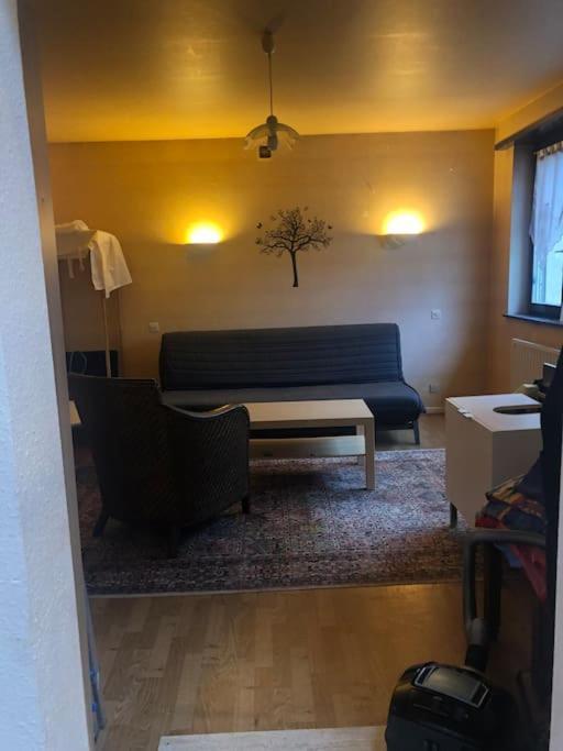 Maison De Village Pres De Colmar De 90 M2 Horbourg Dış mekan fotoğraf